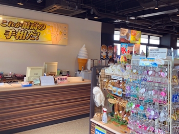 鳥取砂丘占い・らくだらくだの運勢診断・手相